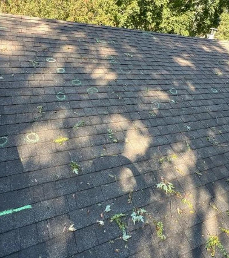 Asphalt shingle roof showing visible hail damage impact marks identified during a professional storm damage inspection by Capital Siding, Windows & Roofing.